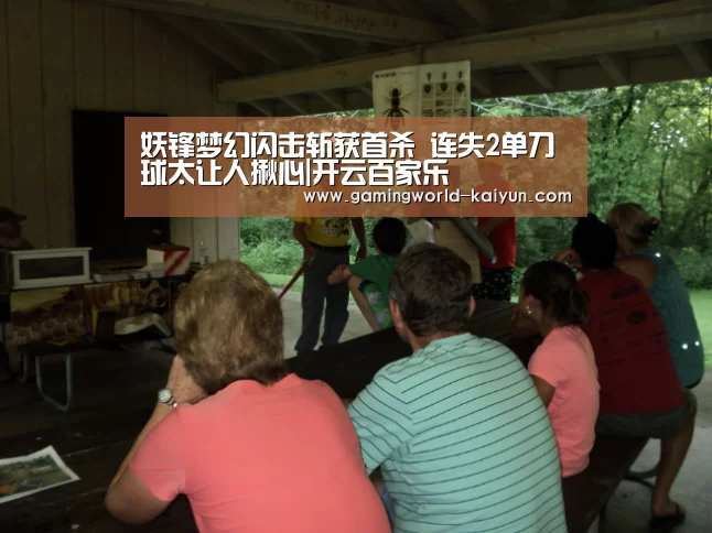 开云入口