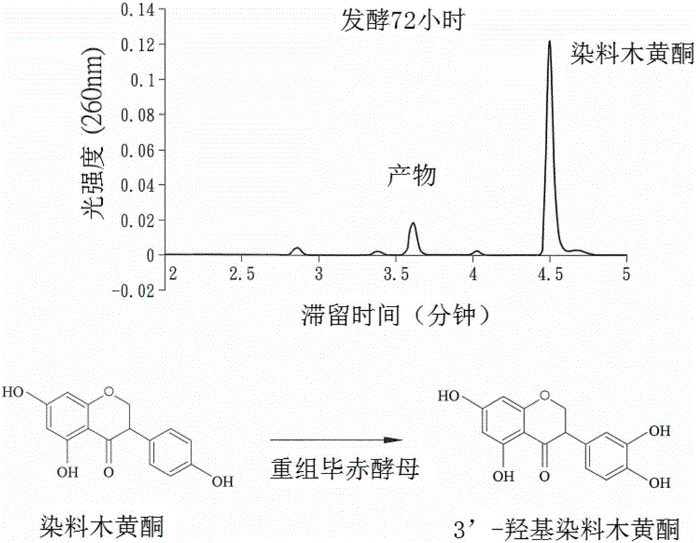 开云百家乐|19日意甲推荐:AC米兰VS弗洛西诺尼(图4) 开云登录